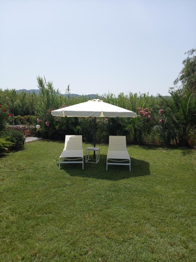 Villa Niki 新马尔马拉斯 外观 照片
